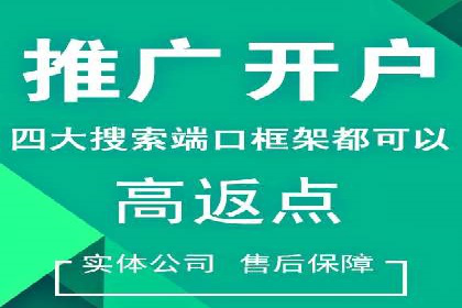 百度竞价运营策略：成功案例解析