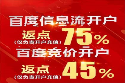 解析SEM主管在竞争激烈市场中的生存之道——以成功案例为鉴